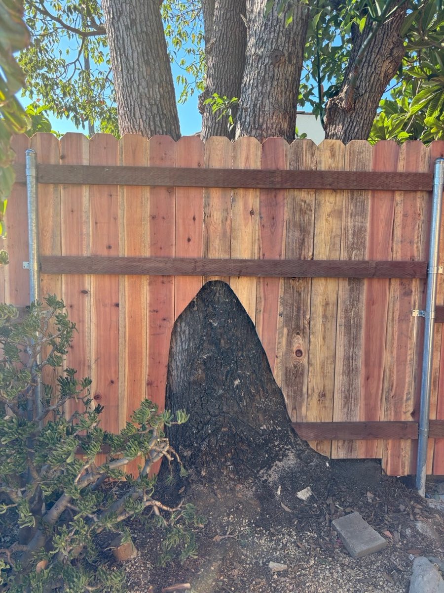 Privacy fence stained dark walnut