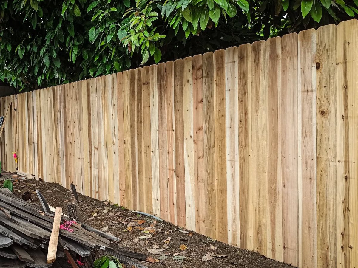 Refreshed wood fence section